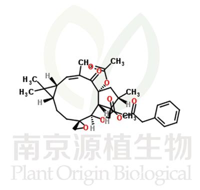 大戟因子L1