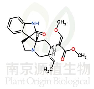 柯諾辛