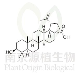 表白樺脂酸