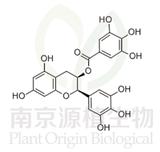 表沒食子兒茶素沒食子酸酯