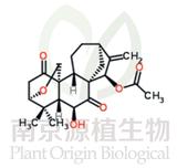 毛萼結(jié)甲