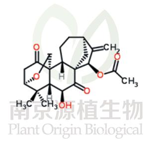 毛萼結(jié)甲