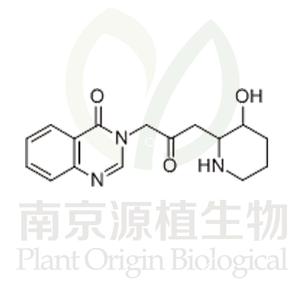 常山乙素