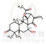 藍(lán)萼乙素