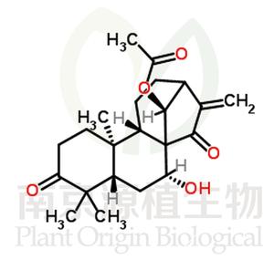 藍萼乙素