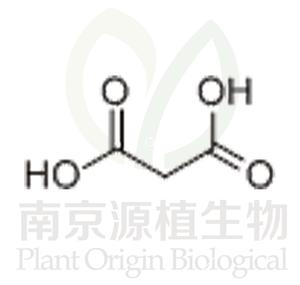 丙二酸