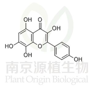 草質(zhì)素