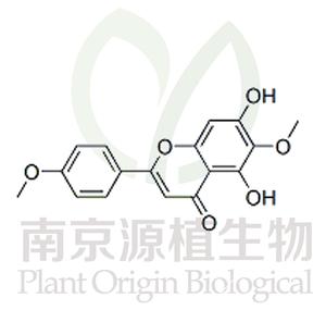 柳穿魚黃素