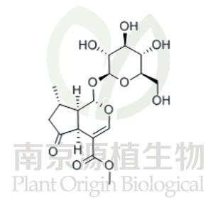 馬鞭草苷