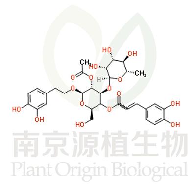 2-乙酰基毛蕊花糖苷