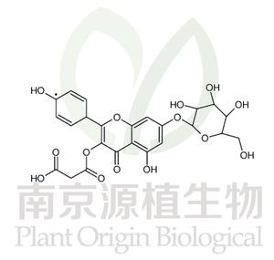 芹菜素7-O-(6”-O-丙二酸單酰)-β-D-葡萄糖苷