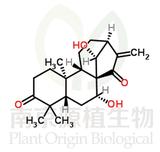 藍(lán)萼甲素