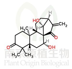 藍(lán)萼甲素