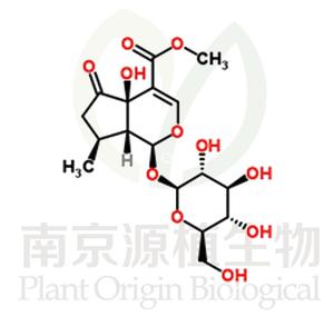 5-羥基馬鞭草苷 