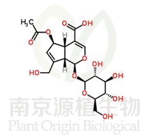 6-O-乙酰雞屎藤次苷