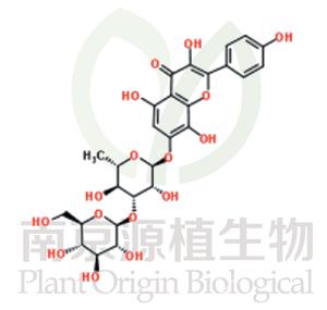 紅景天素