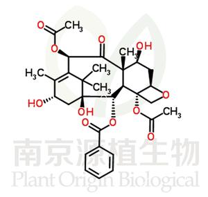 巴卡亭III