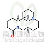 槐定堿