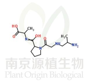 雞II型膠原蛋白