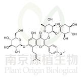 朝藿定B