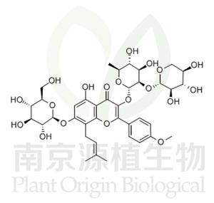 朝藿定B