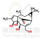 巨大戟醇