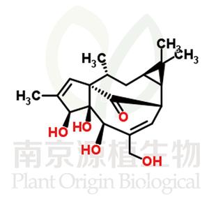 巨大戟醇