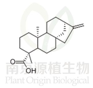 貝殼杉烯酸