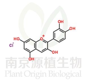 氯化矢車菊素