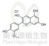 氯化芍藥素