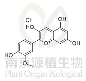 氯化芍藥素