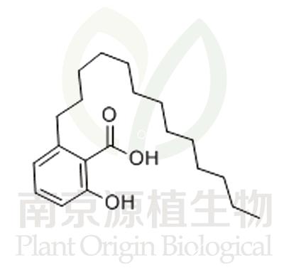 白果新酸