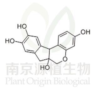 巴西蘇木素