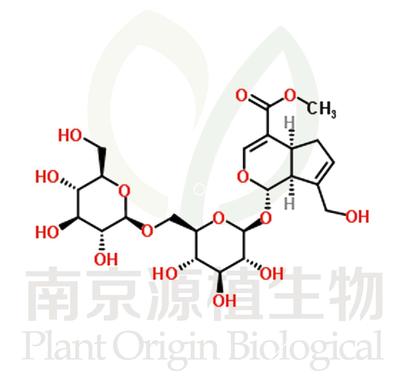 京尼平龍膽雙糖苷