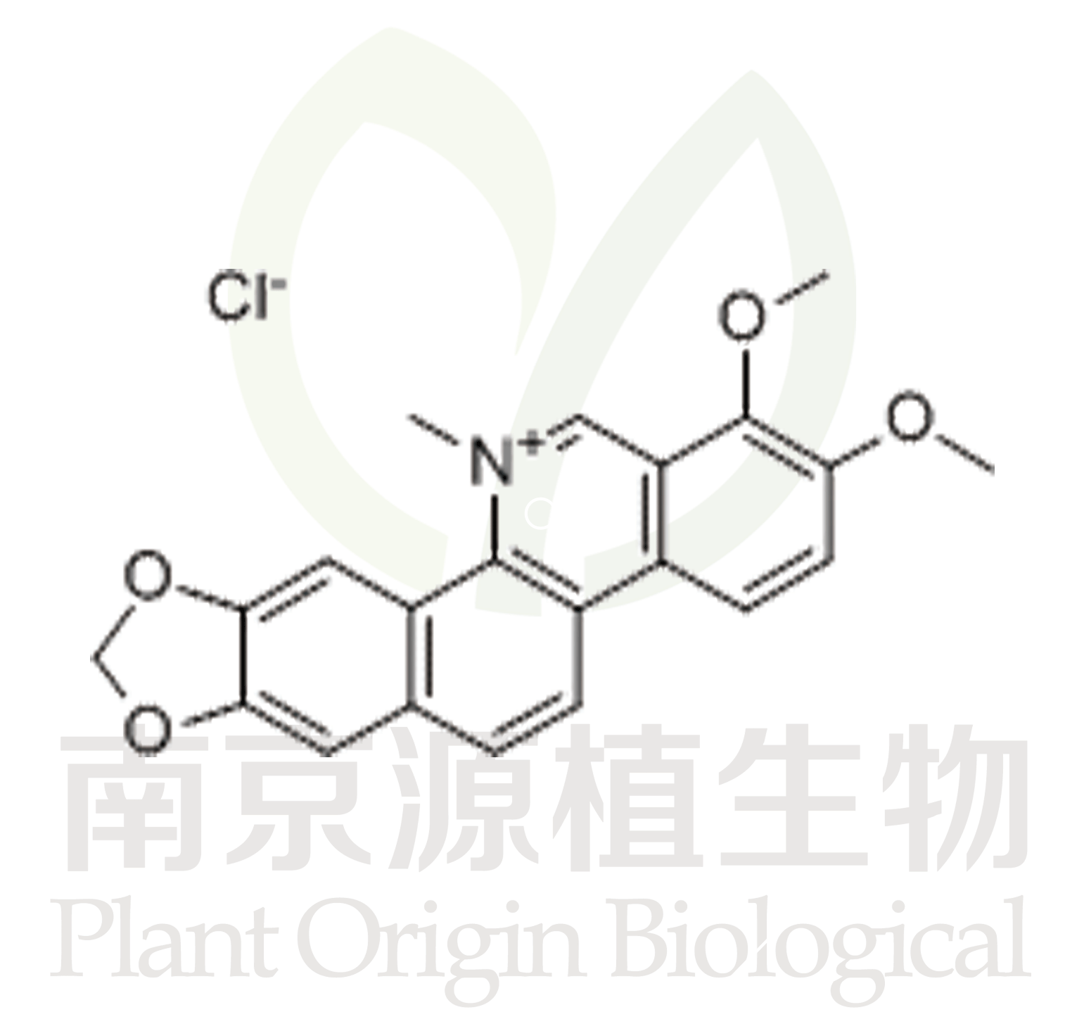 鹽酸白屈菜紅堿