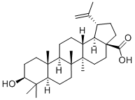 白樺脂酸