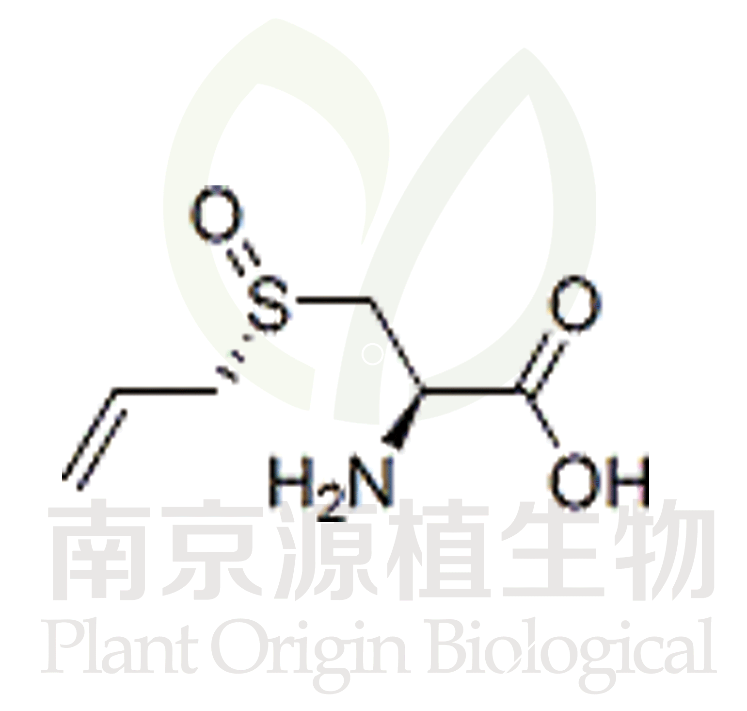 蒜氨酸