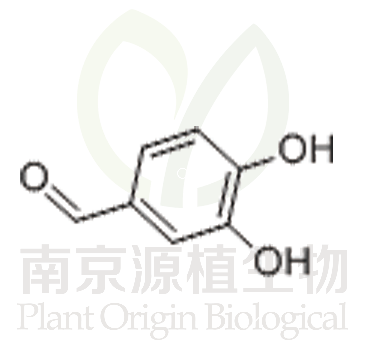 原兒茶醛