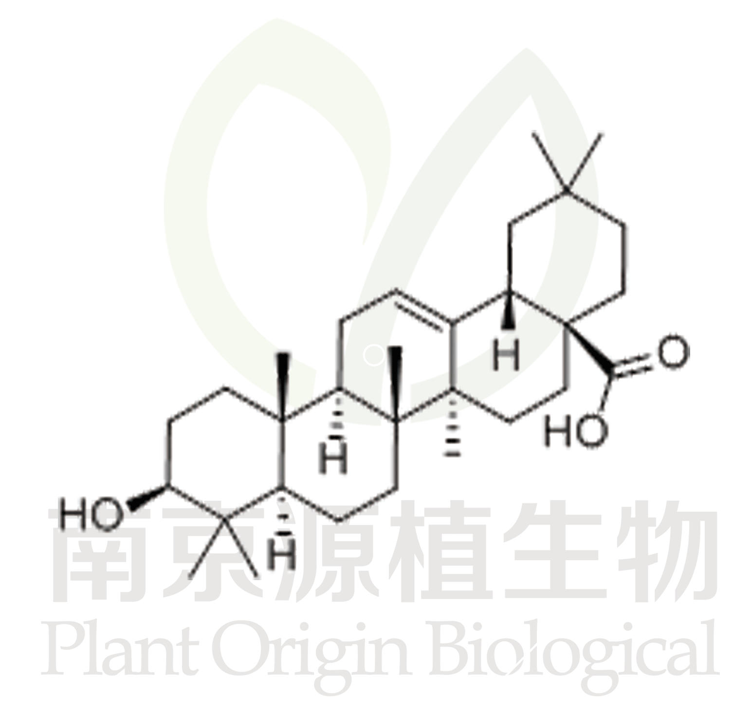 齊墩果酸