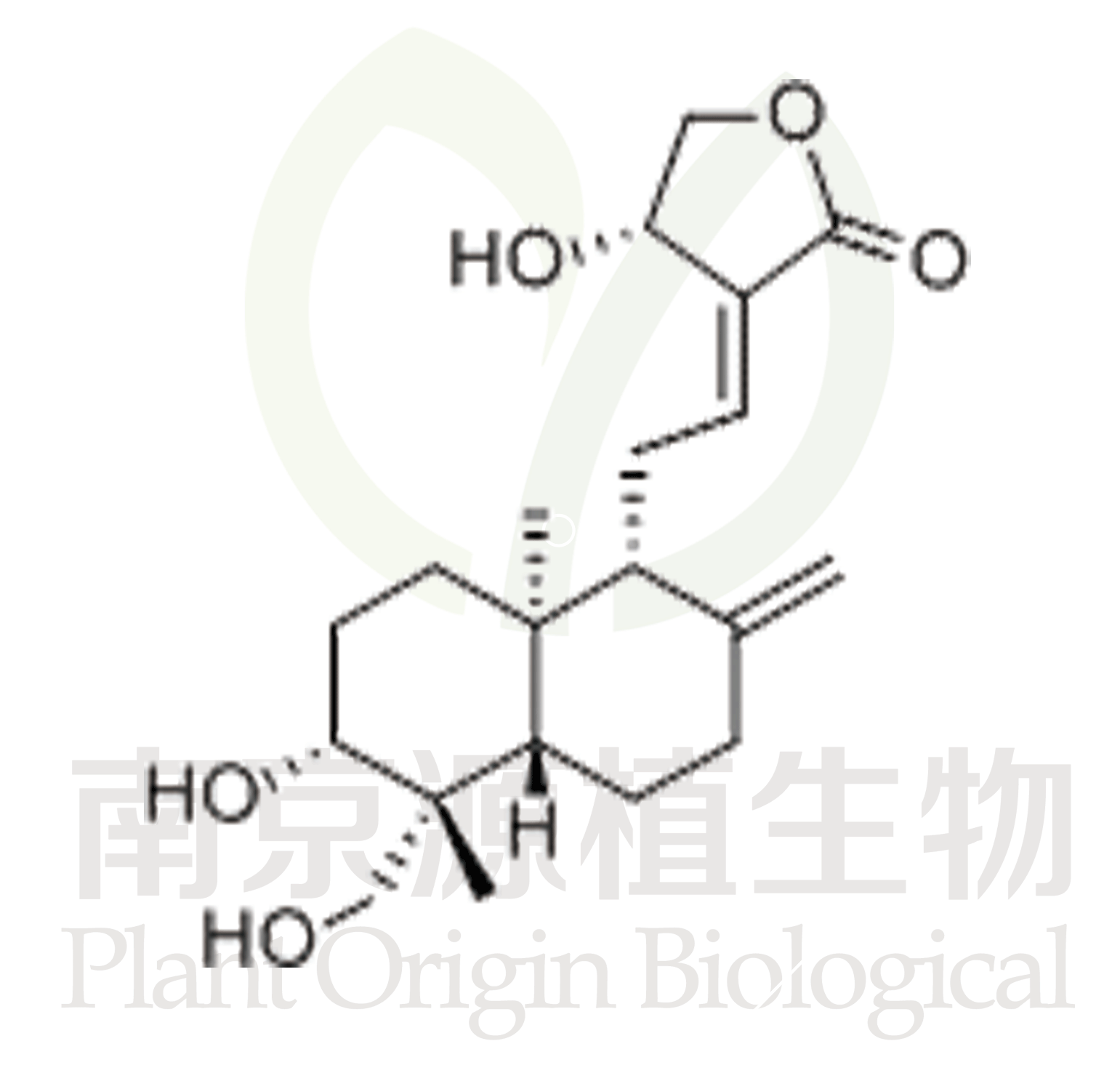 穿心蓮內酯