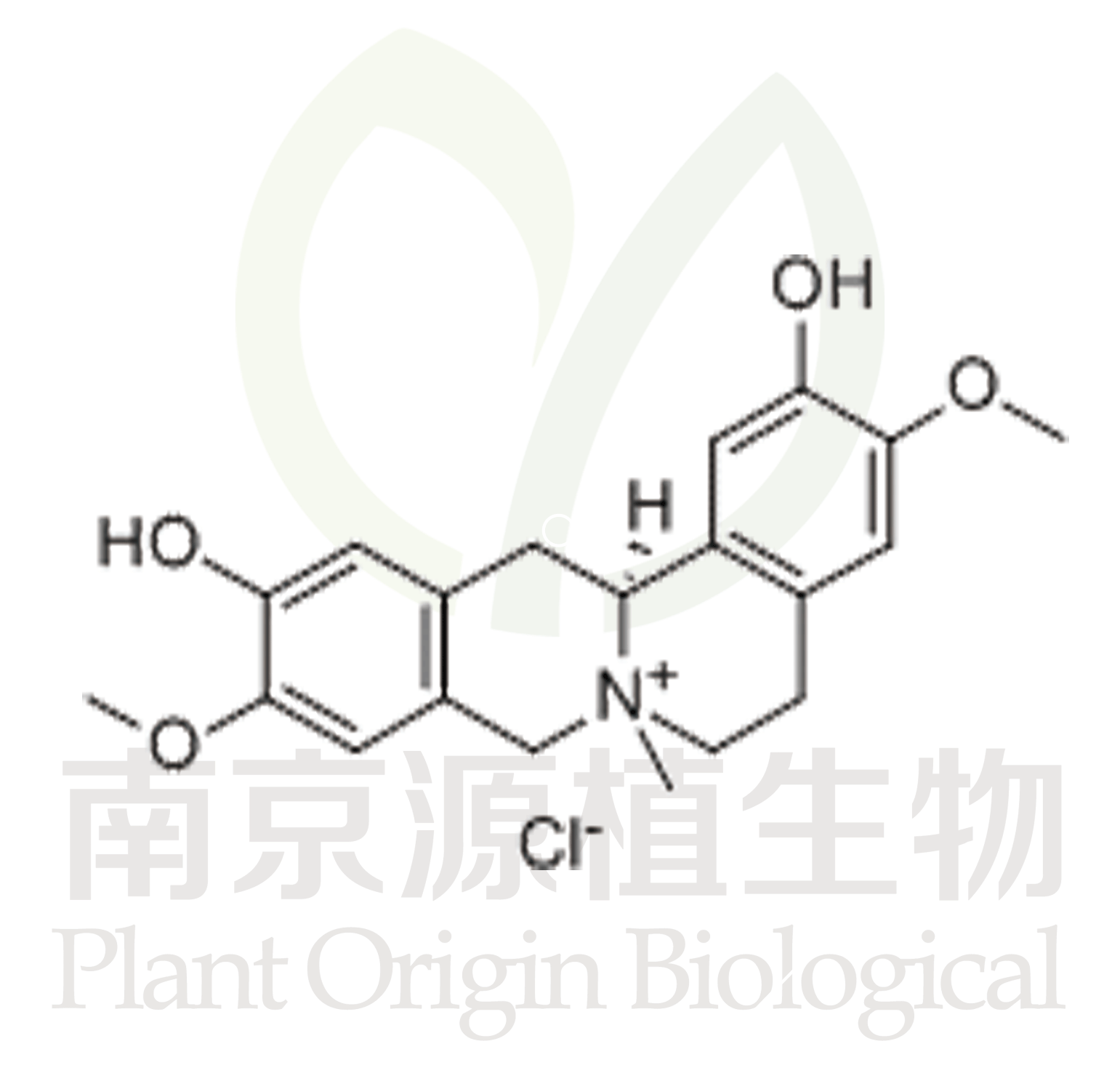 鹽酸黃柏堿