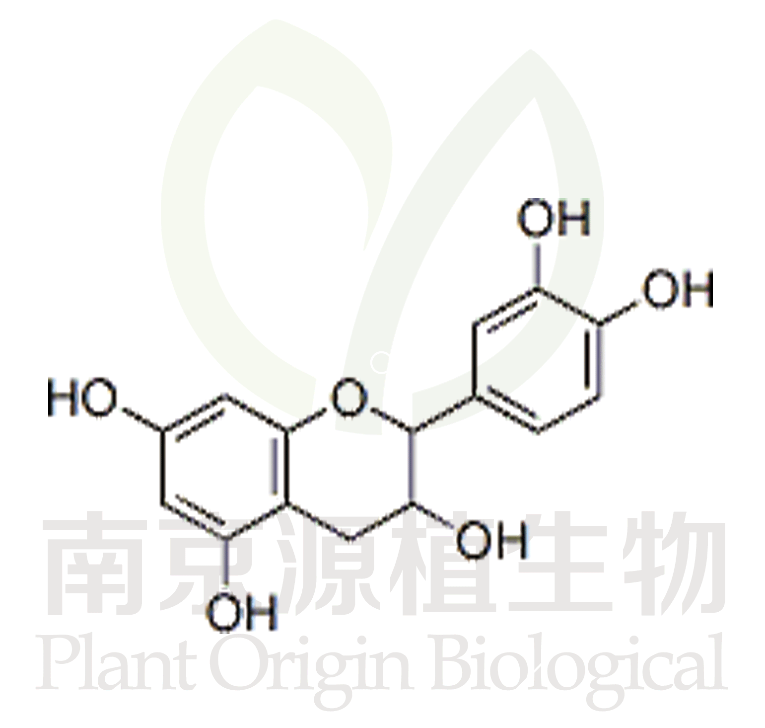 表兒茶素