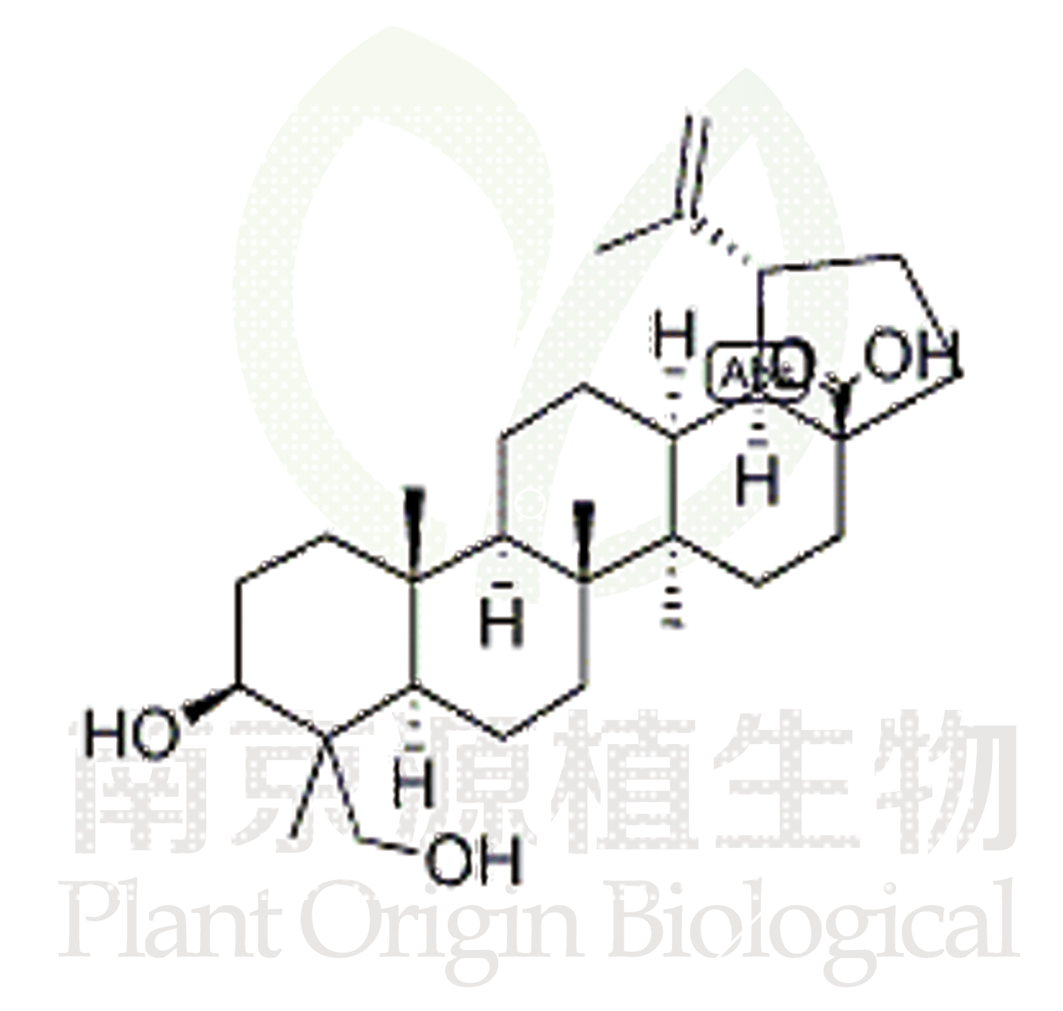 23-羥基白樺酸