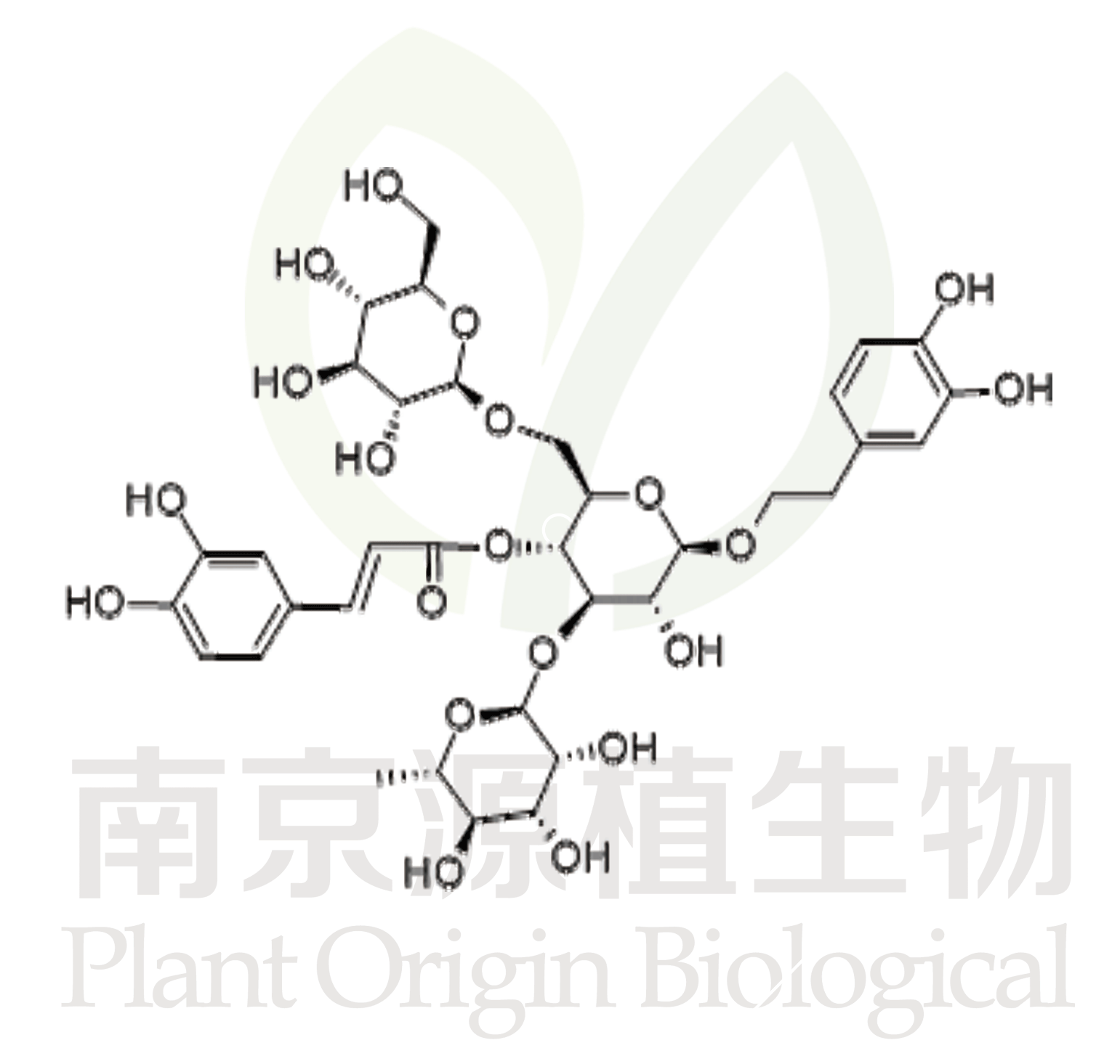 松果菊苷