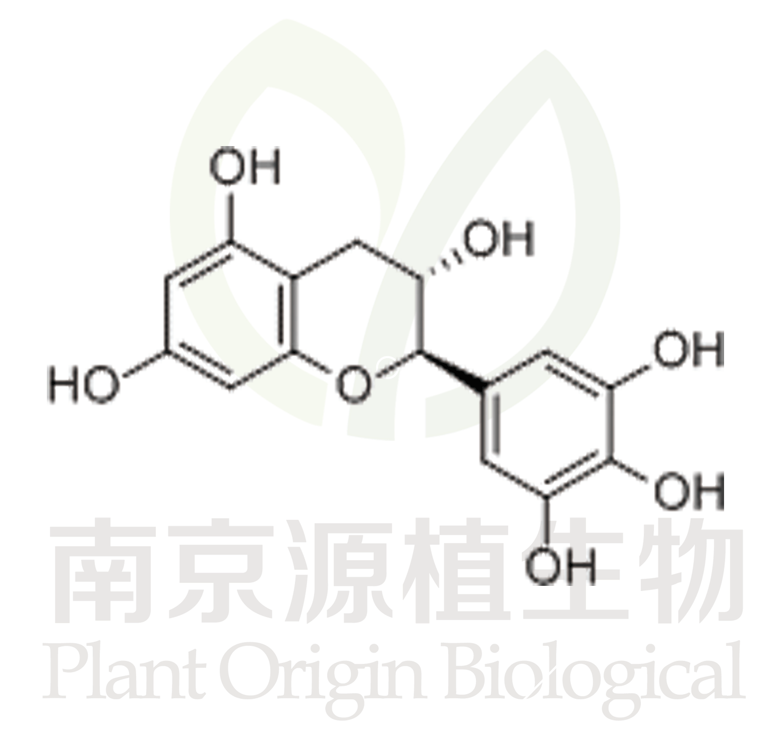 (+)-沒食子兒茶素