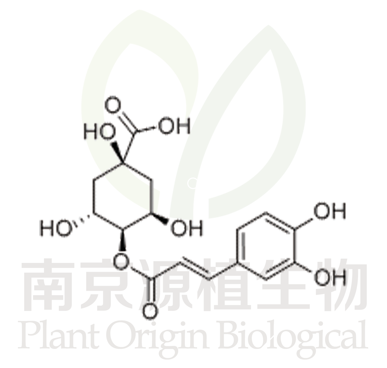 隱綠原酸