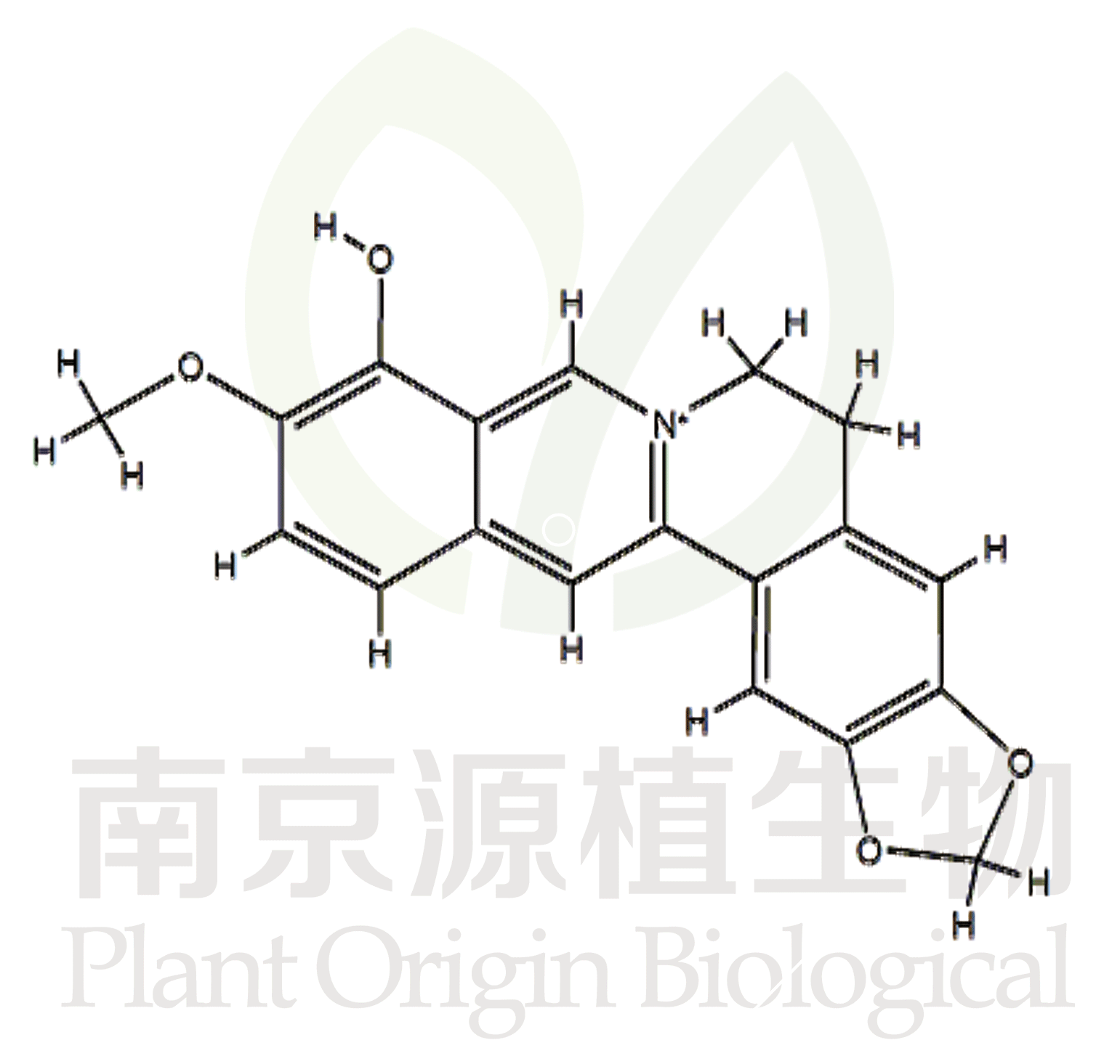 小檗紅堿