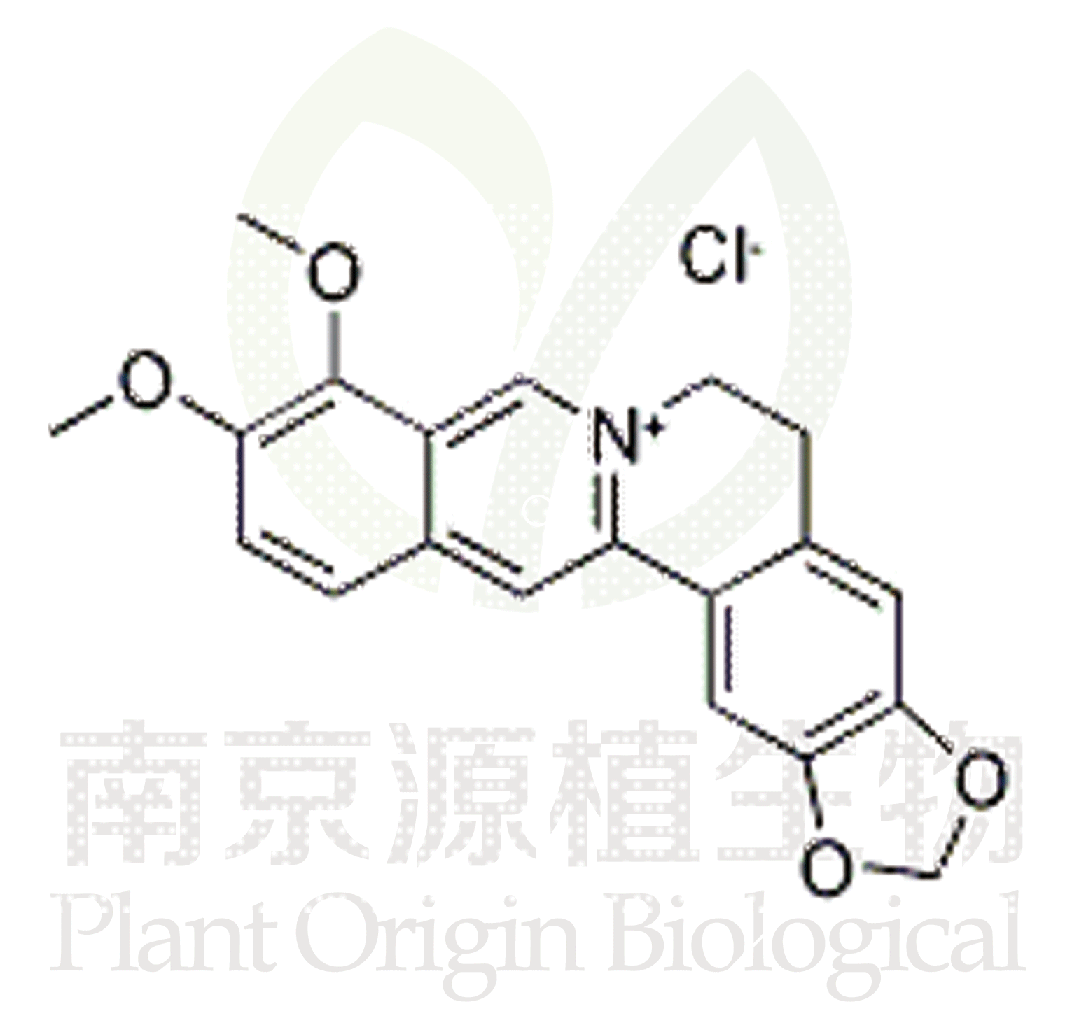 鹽酸小檗堿