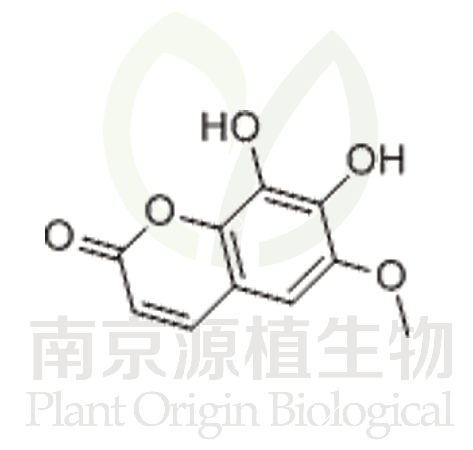 秦皮素