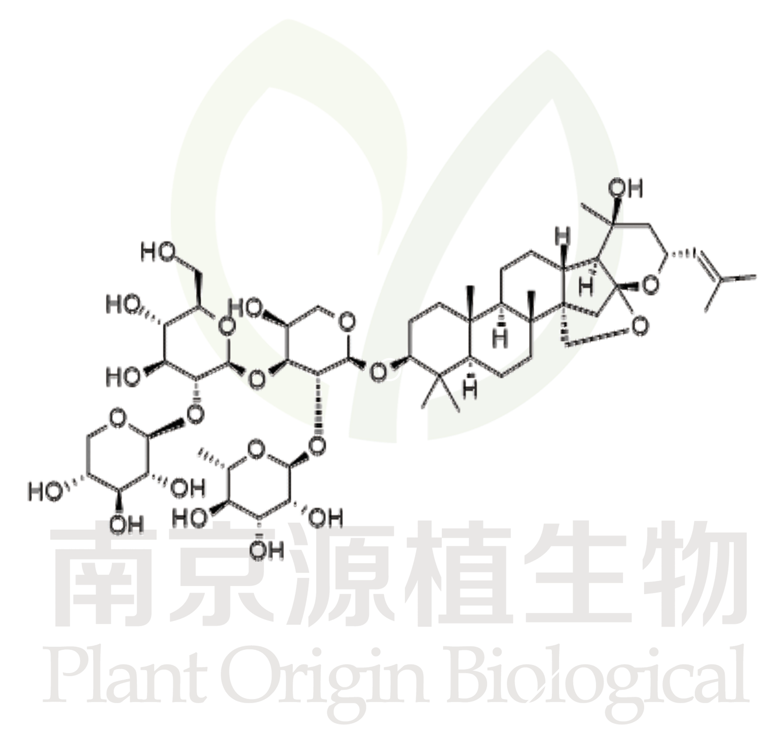 酸棗仁皂苷B